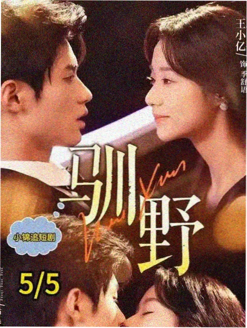 季度骨架观察汇总的配图